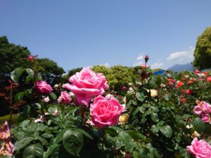 作業部屋を完全個室に引っ越しました。