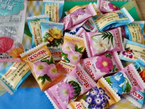 「花のくちづけ」通常サイズを売っているところを見つけました。【飴】【春日井製菓】