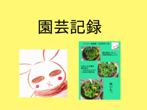 パンジーの成長録だよー。【園芸記録】【第12回】