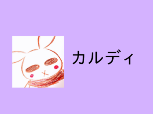 カルディの「ネコの日バッグ」、落選しました。【2026年】